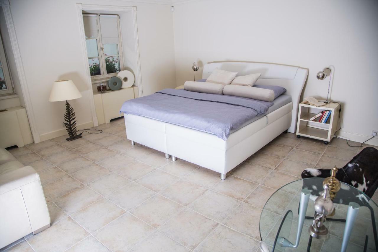 President Boutique Apartment II Брно Екстер'єр фото